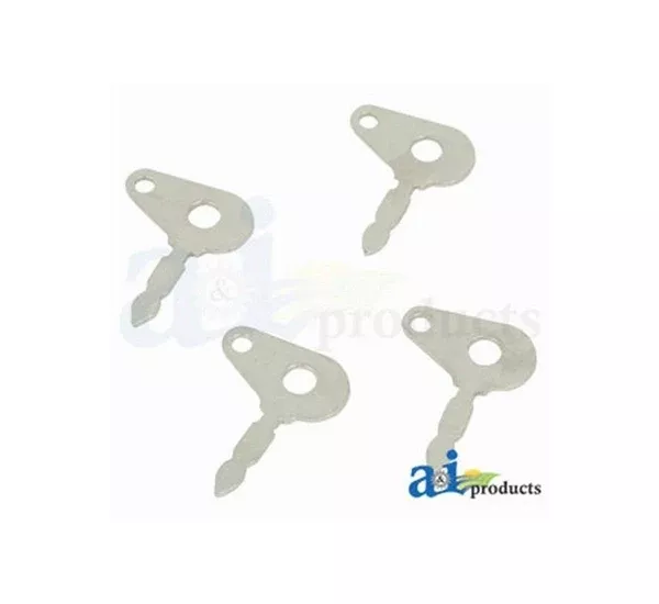 Key Ignition 20A829